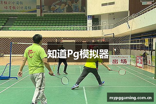 知道Pg模拟器